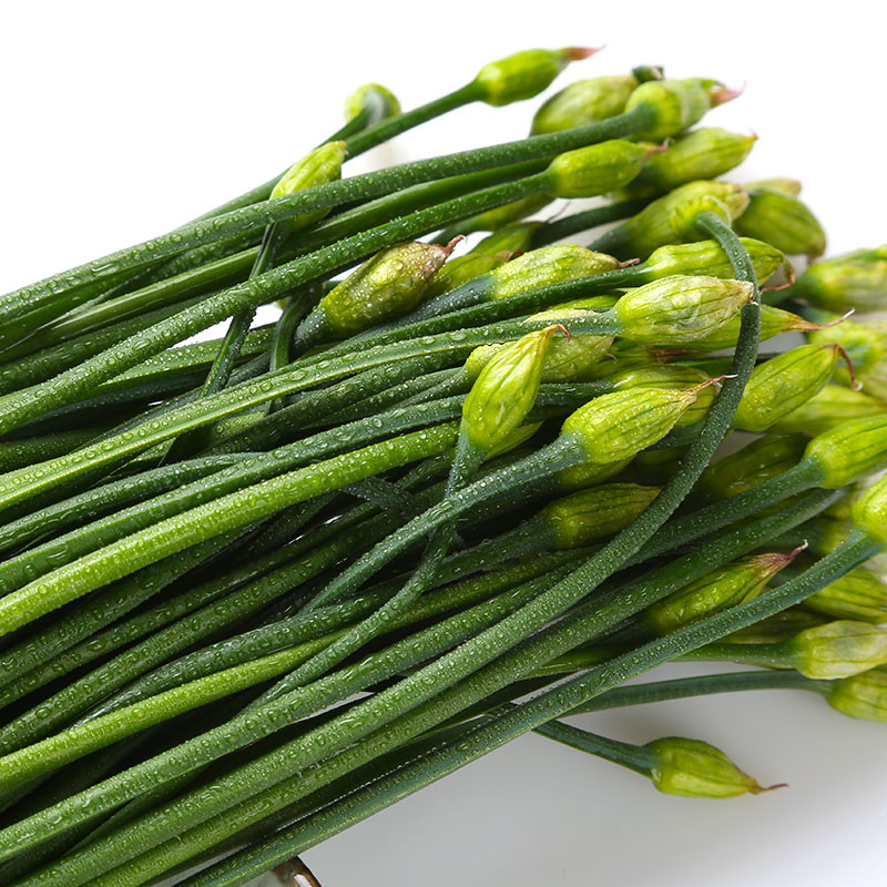 特色韭菜花(家庭制作韭菜花的做法) 特色韭菜花(家庭制作韭菜花的做法)