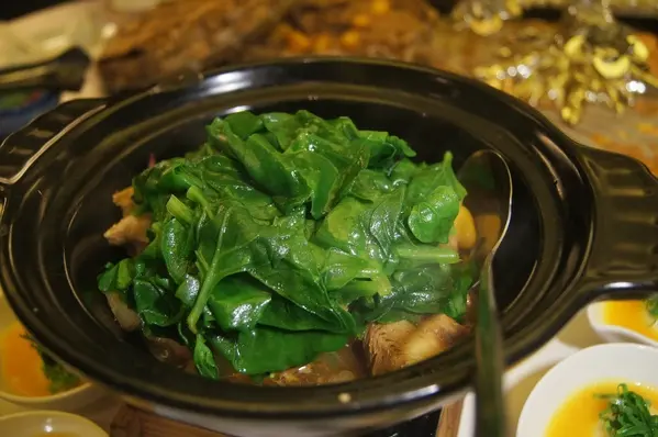 枣子树特色菜(枣子树长什么样子)