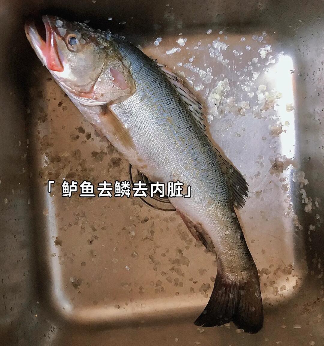 家常炖鲈鱼汤(炖鲈鱼汤怎么炖) 家常炖鲈鱼汤(炖鲈鱼汤怎么炖)