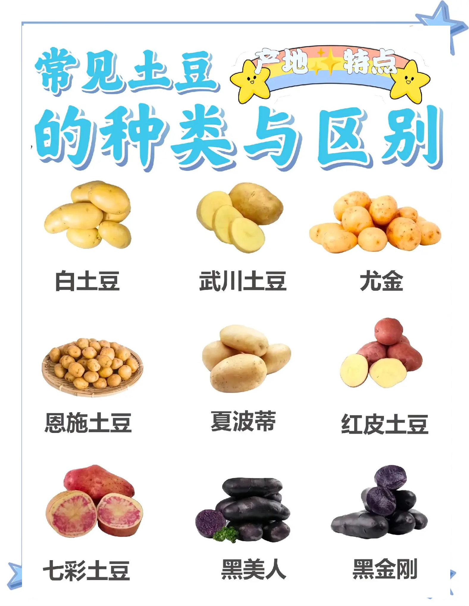 素菜菜谱大全土豆(素菜菜谱大全家常)