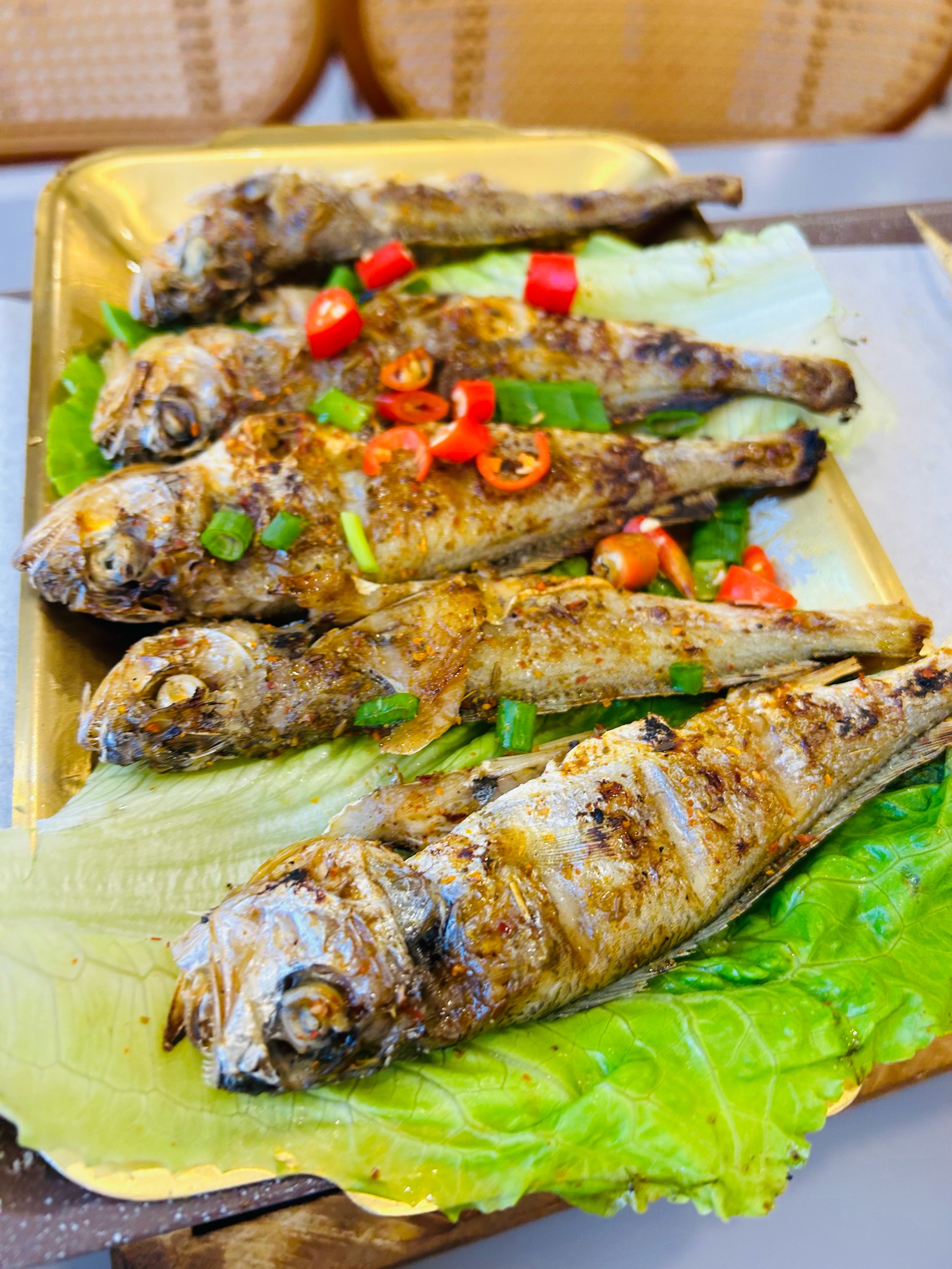 煎烤素菜(煎肉素菜都烤什么好吃) 煎烤素菜(煎肉素菜都烤什么好吃)