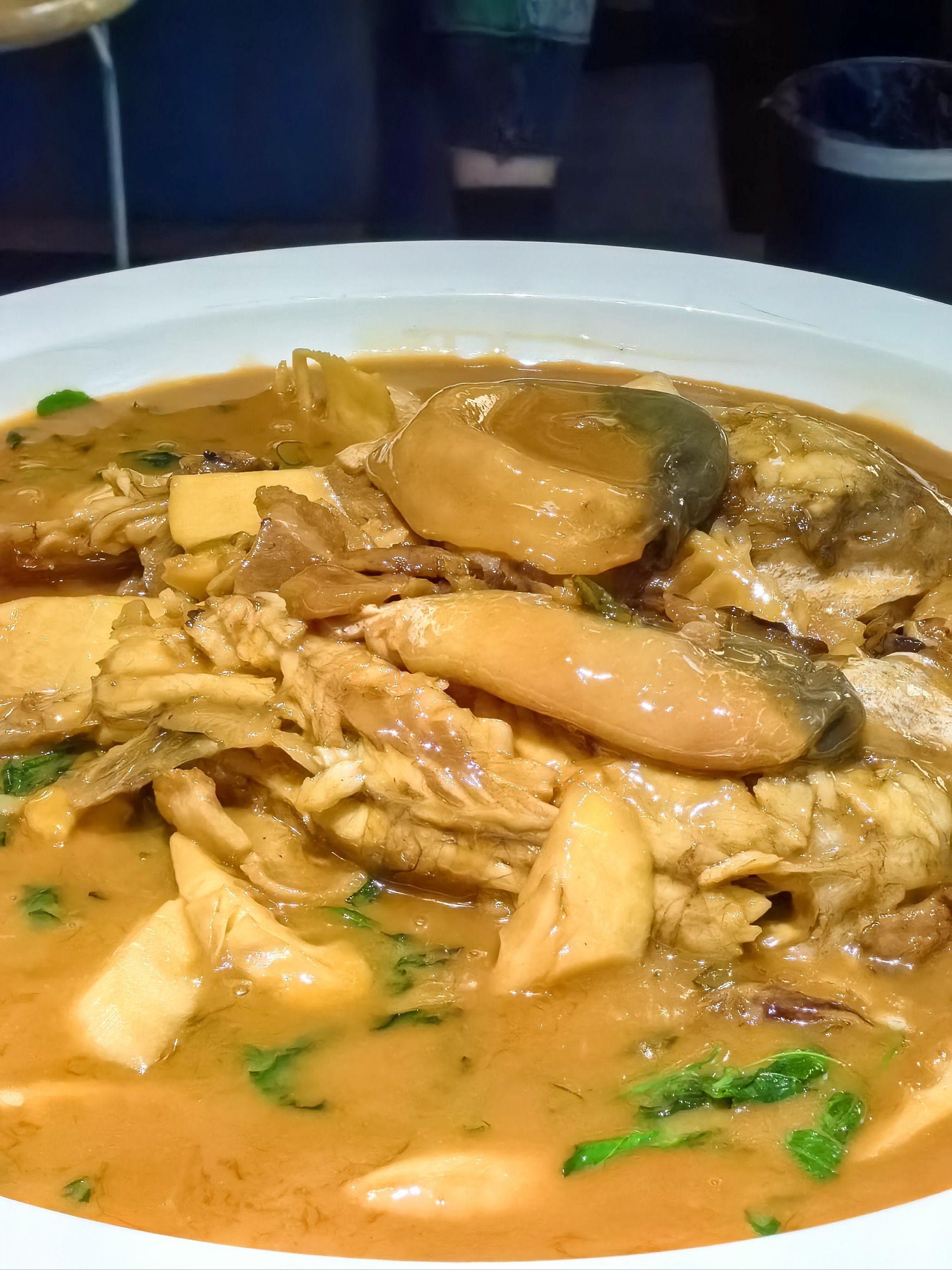 河豚和什么素菜一起烧(河豚和什么不能混吃) 河豚和什么素菜一起烧(河豚和什么不能混吃)