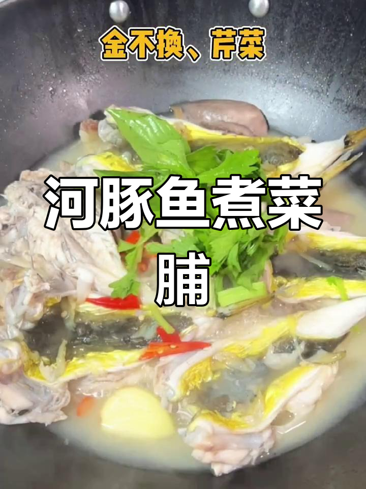 河豚和什么素菜一起烧(河豚和什么不能混吃) 河豚和什么素菜一起烧(河豚和什么不能混吃)