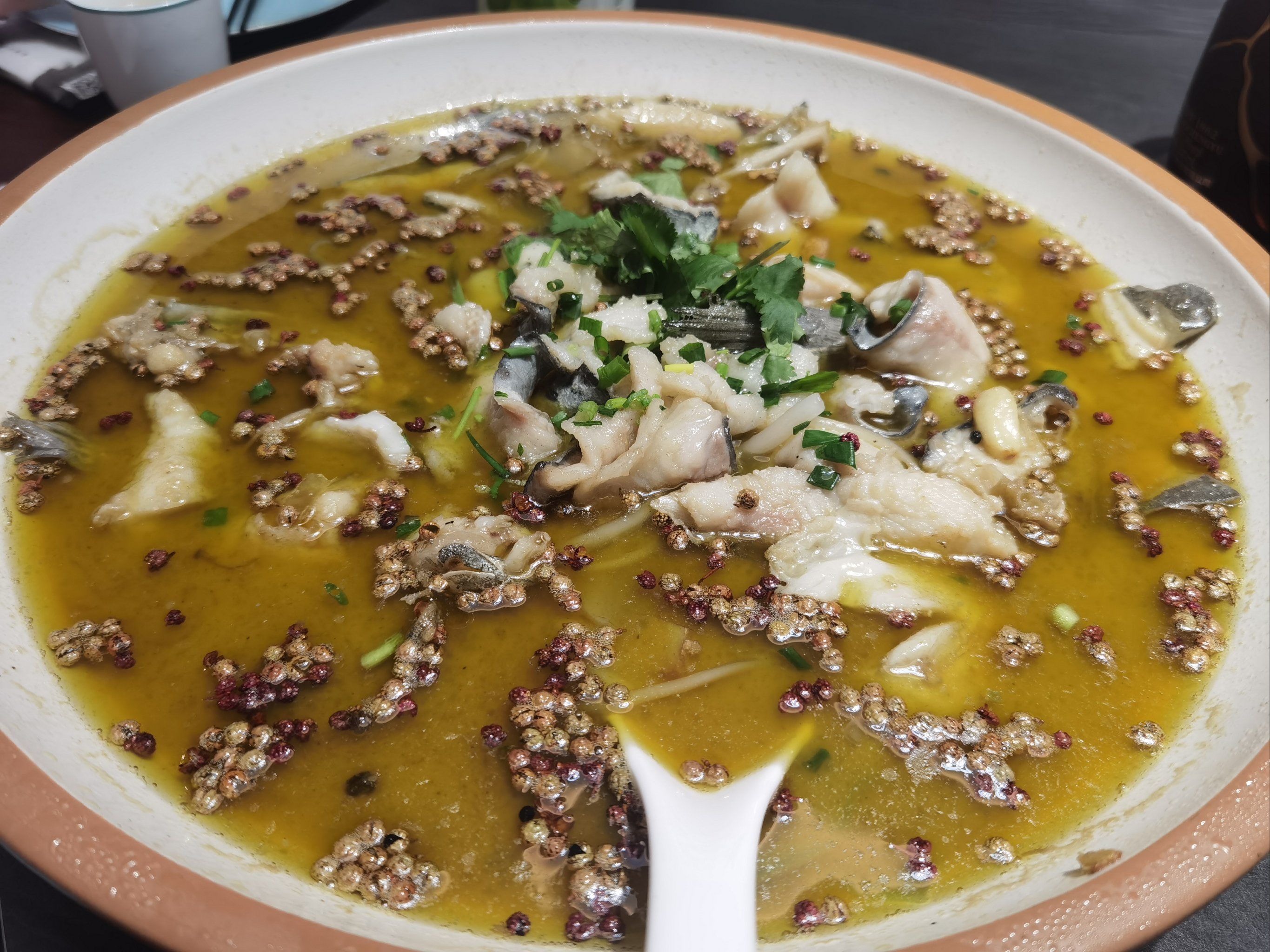 川菜特色鱼图片大全(川菜特色菜图片及做法窍门) 川菜特色鱼图片大全(川菜特色菜图片及做法窍门)