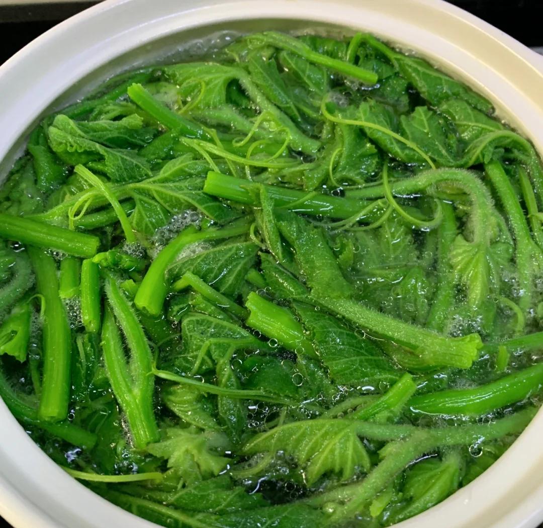 新素菜大全(素菜大全斋菜 纯素食)