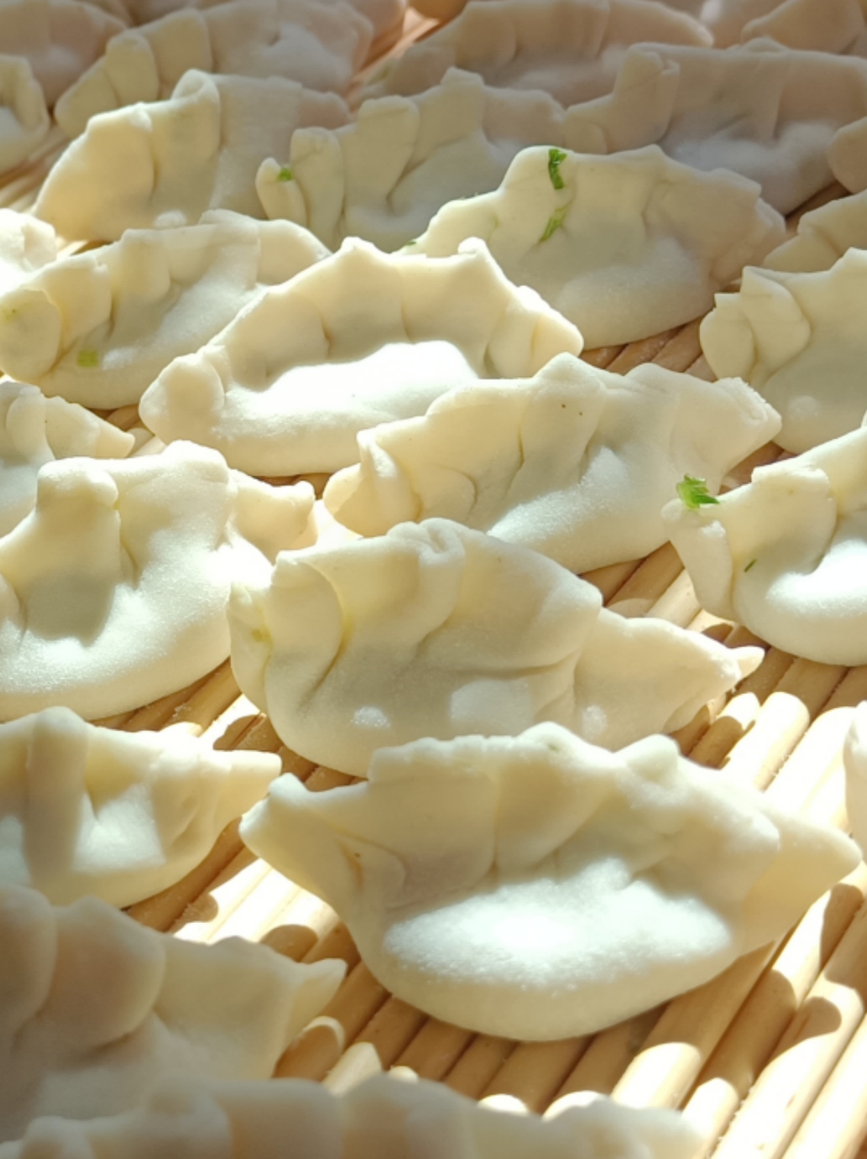 去火的素菜饺子(下火的饺子馅) 去火的素菜饺子(下火的饺子馅)