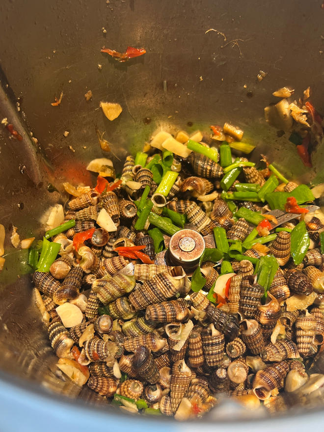 大海螺的做法大全家常(大海螺的做法大全家常做法) 大海螺的做法大全家常(大海螺的做法大全家常做法)