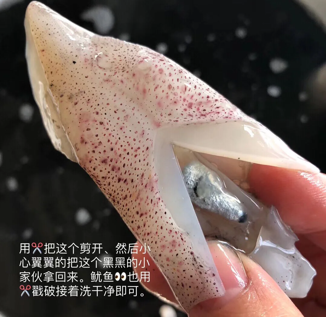 潮汕小吃鱿鱼(潮汕的鱿鱼) 潮汕小吃鱿鱼(潮汕的鱿鱼)