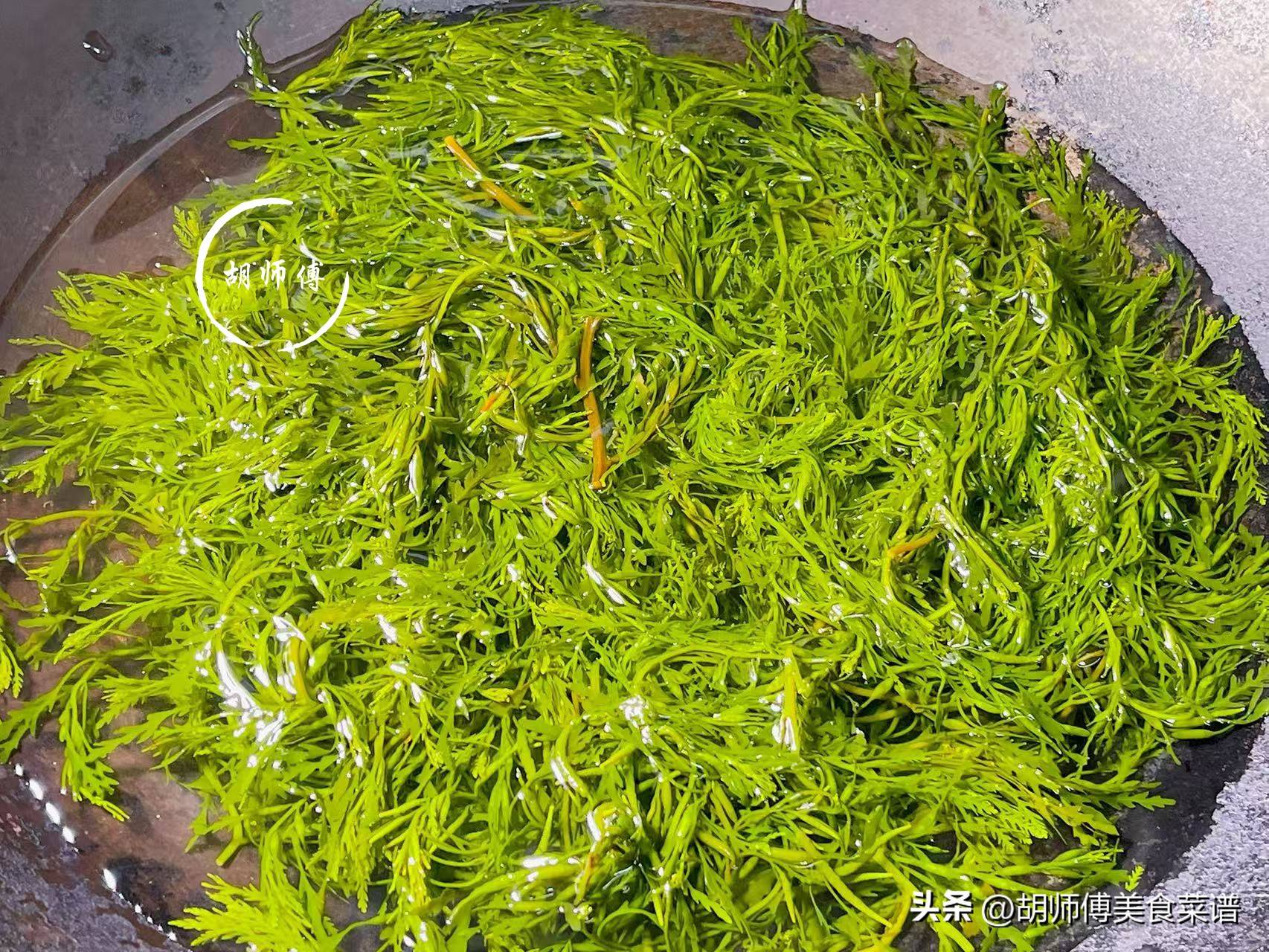 长寿的素菜(长寿吃什么菜) 长寿的素菜(长寿吃什么菜)