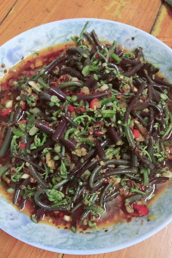 蕨菜凉菜(蕨菜凉菜的做法大全)