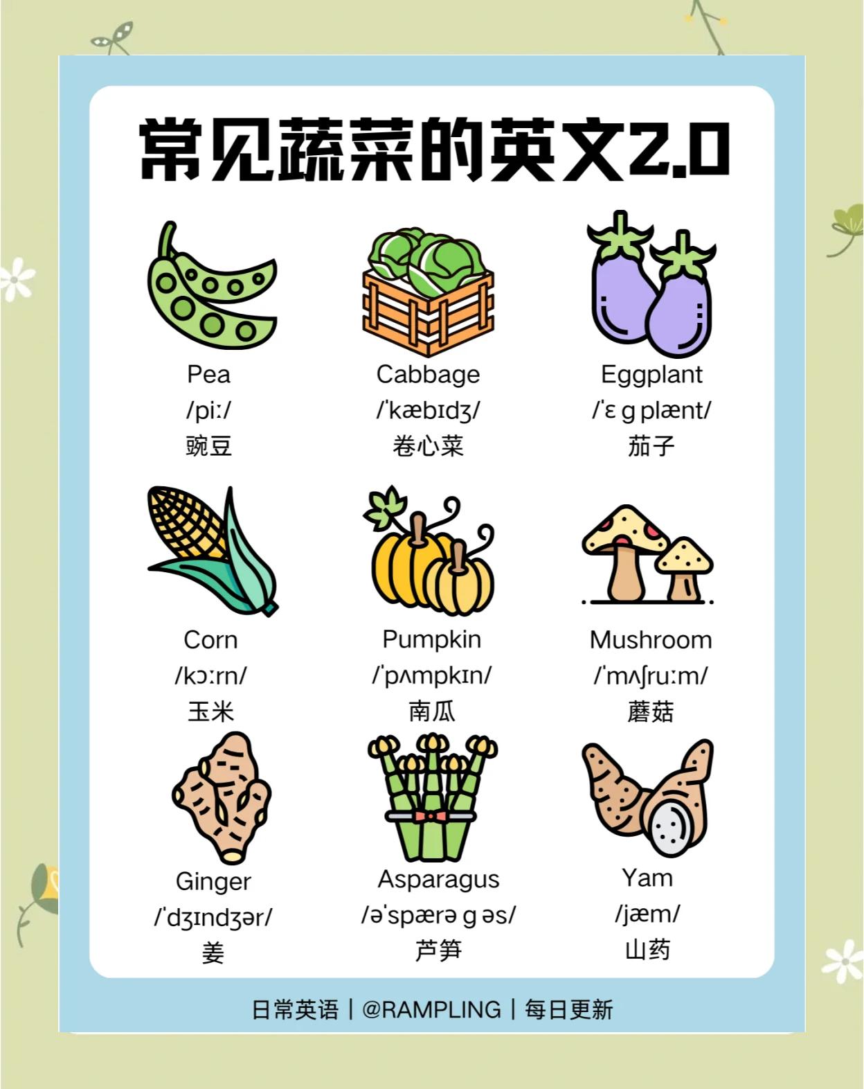 聚会菜谱素菜英语(菜谱大全英语) 聚会菜谱素菜英语(菜谱大全英语)