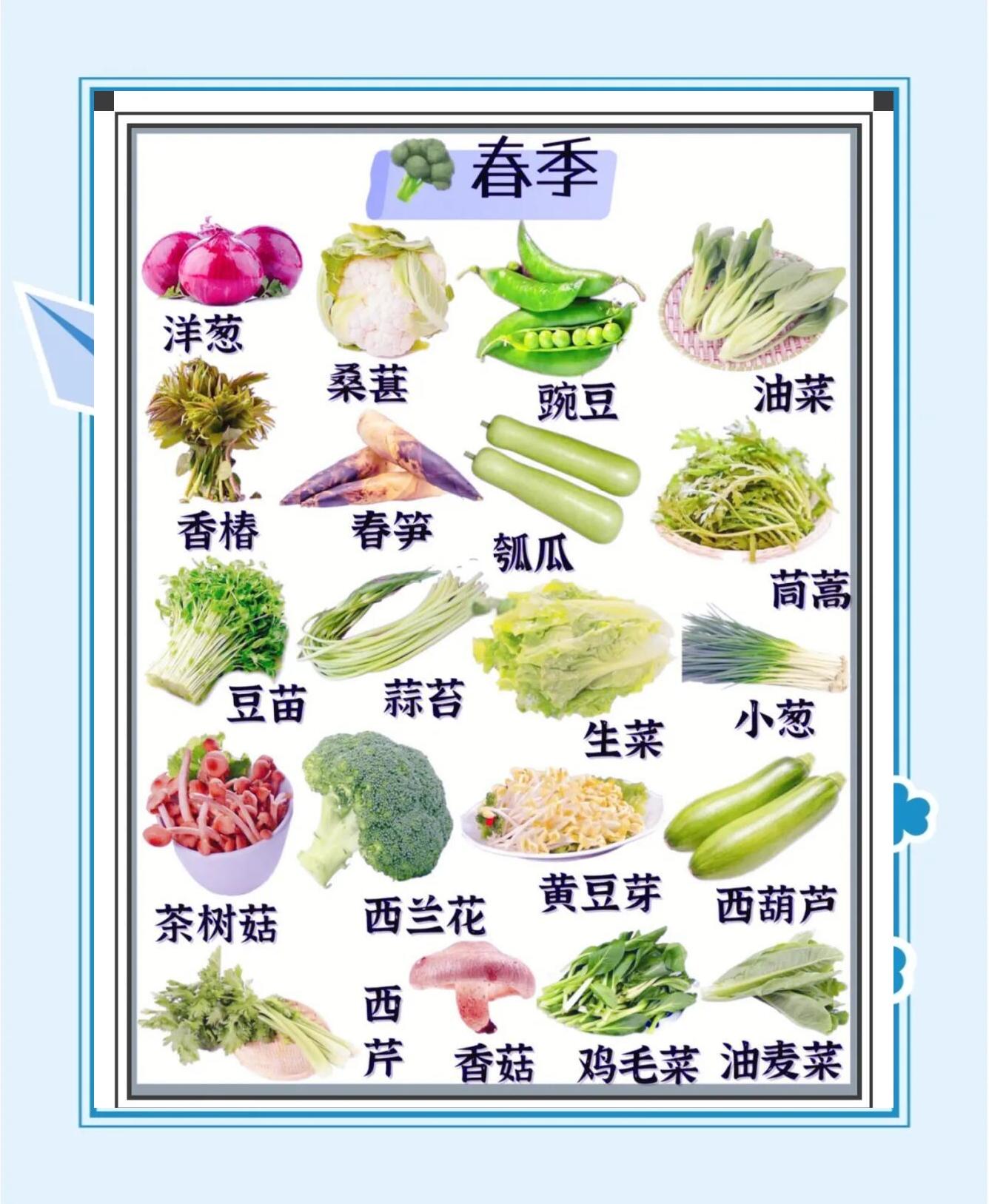 时素菜类(素菜食材品种) 时素菜类(素菜食材品种)