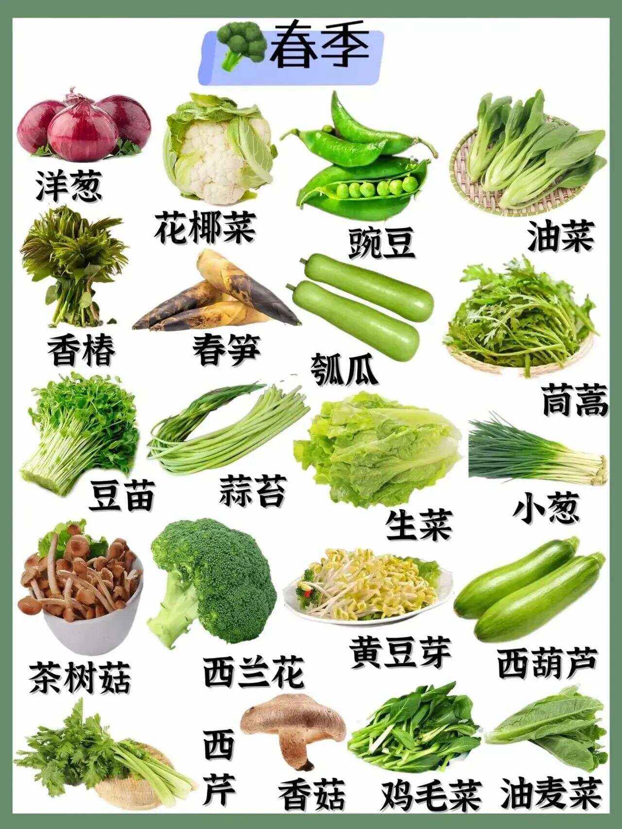 特色素菜菜名图(特色素菜小炒菜谱图片)