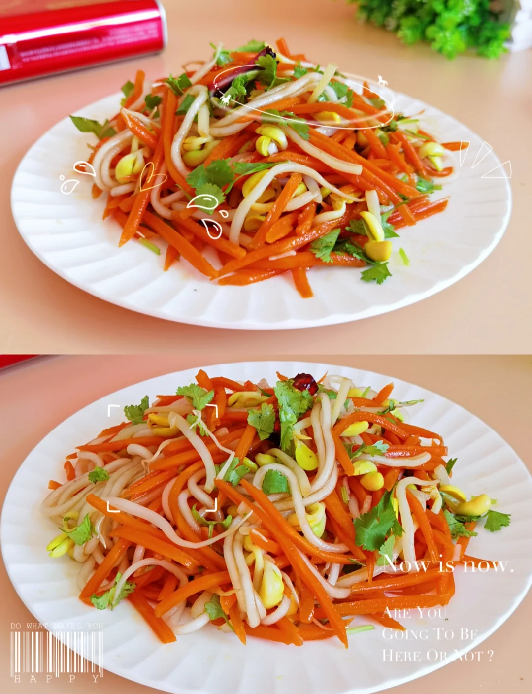 土豆豆芽拌凉菜(土豆豆芽拌凉菜的做法) 土豆豆芽拌凉菜(土豆豆芽拌凉菜的做法)