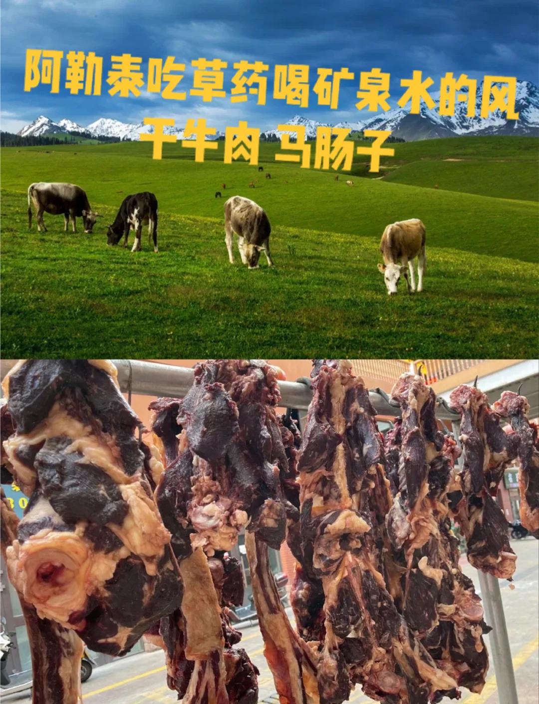 特色新疆肉菜菜谱(新疆特色肉制品)