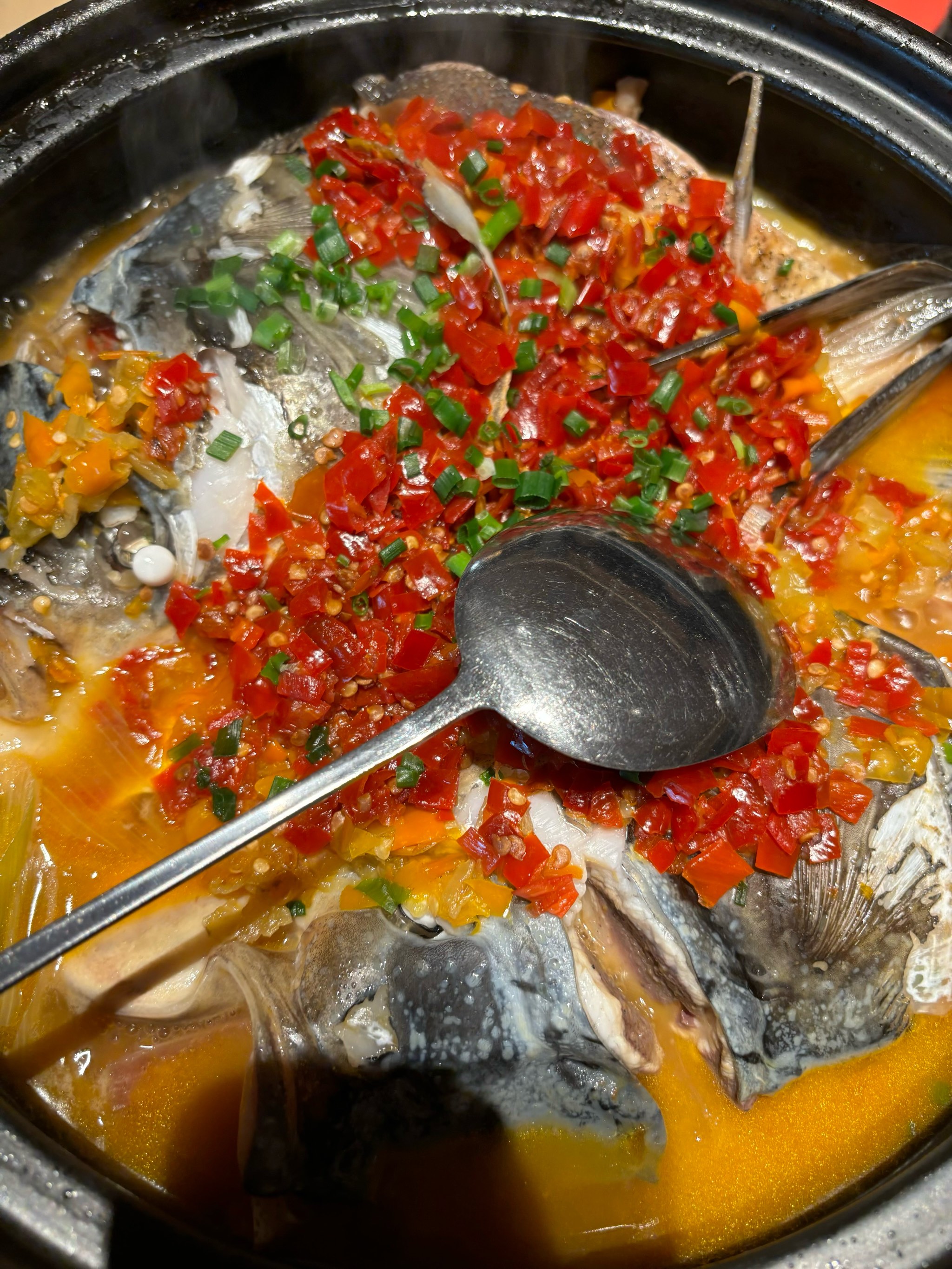 特色鱼头锅(鱼头锅子怎么烧好吃?)