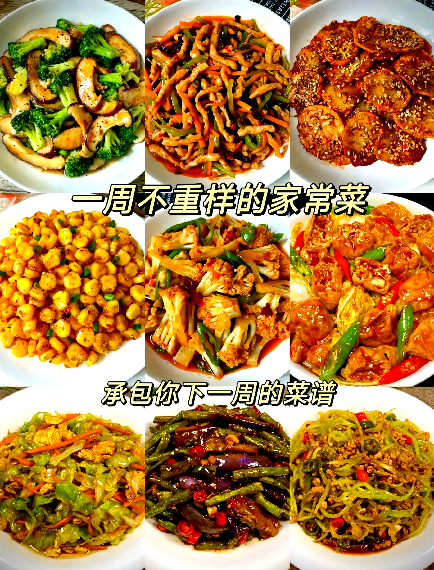 家常菜大全家常(家常菜大全家常图片)