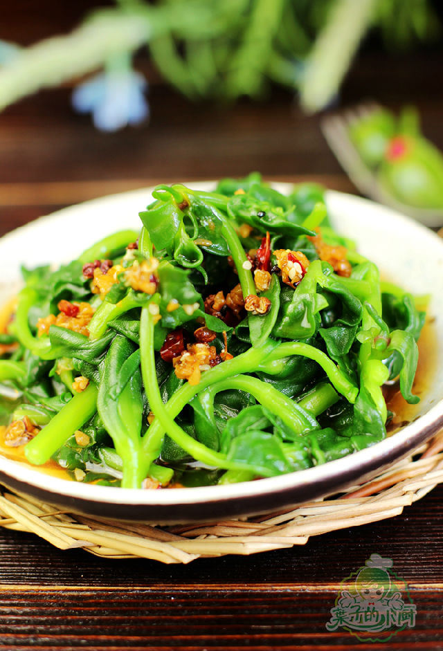 清淡素菜穿心莲(穿心莲菜怎样吃)