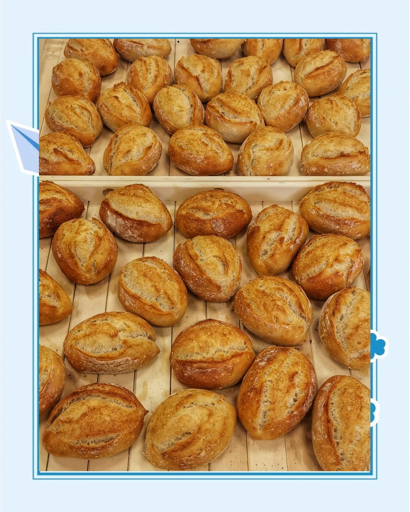 德国特色面包美食(德国特色面包美食介绍)