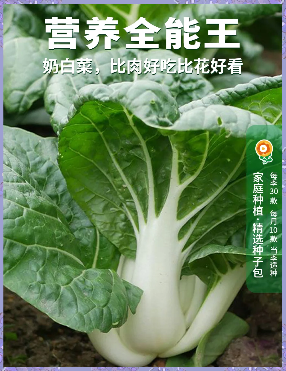 下奶的素菜有哪些(下奶蔬菜食物有哪些)