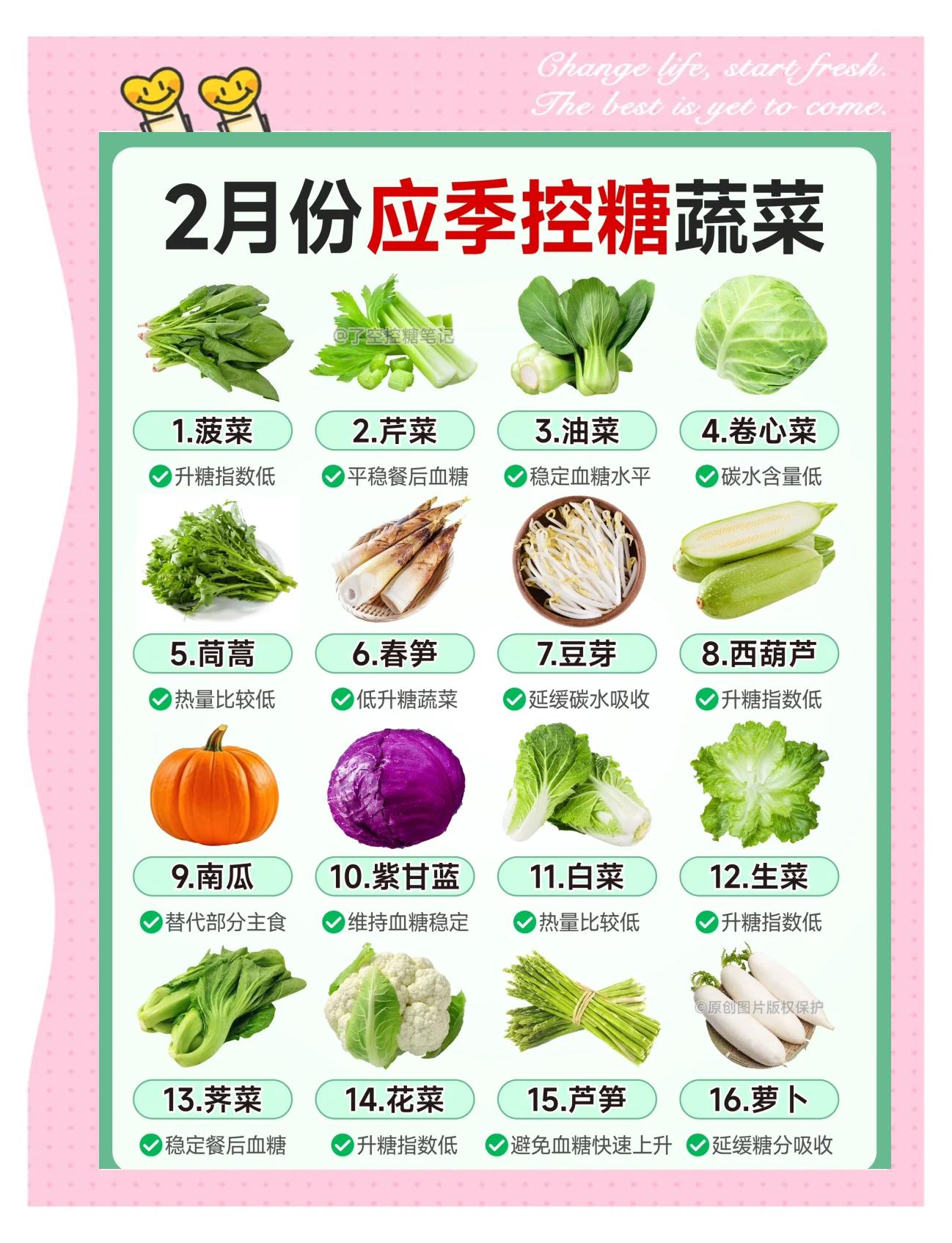 素菜哪本菜谱好(素菜哪本菜谱好卖)