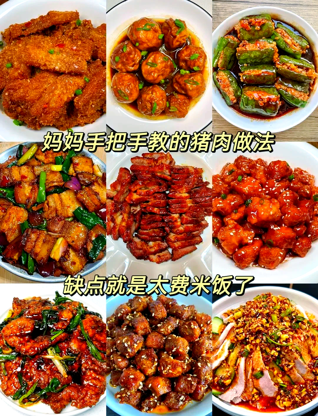 家常猪肉臊子做法(家常猪肉臊子的做法) 家常猪肉臊子做法(家常猪肉臊子的做法)