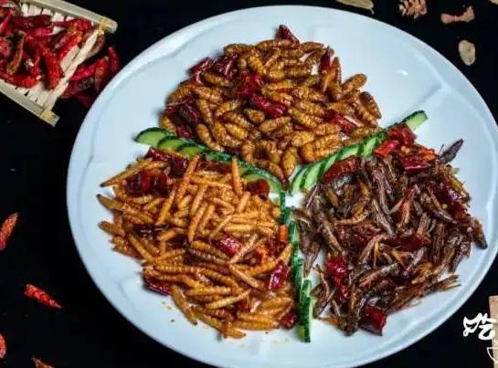 特色菜烧竹虫(竹虫怎么炒好吃)