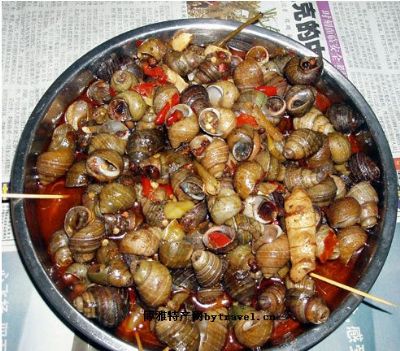 螺丝是荤菜还是素菜(螺丝是素食吗)