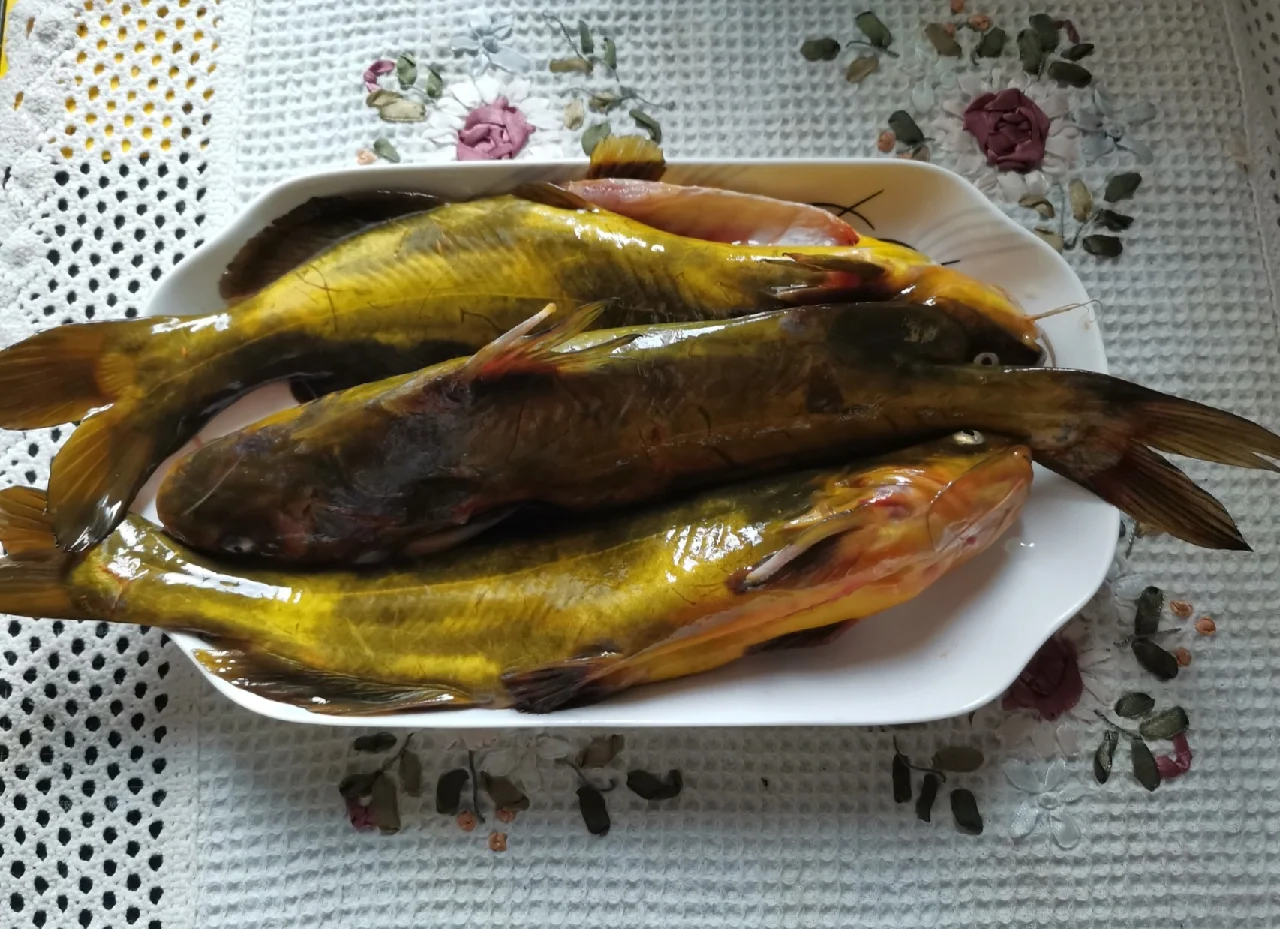 嘎鱼的特色做法大全(嘎鱼鱼的做法)