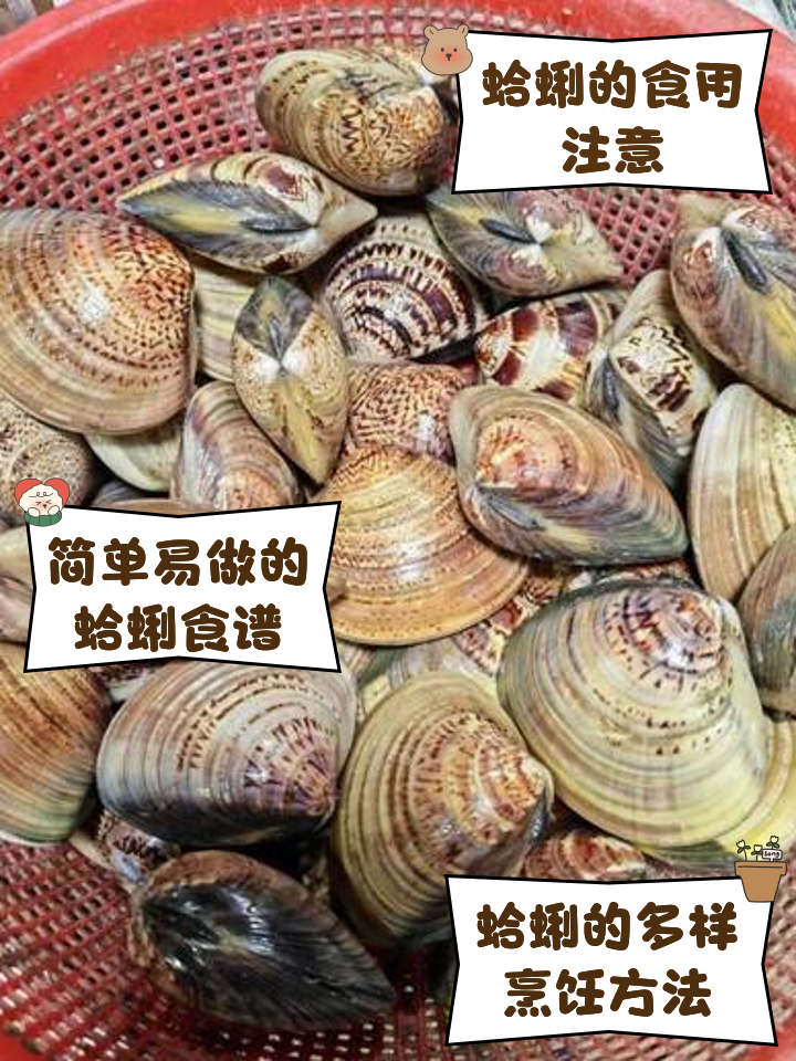 嘎啦做法大全家常(嘎啦的做法与清洗视频)