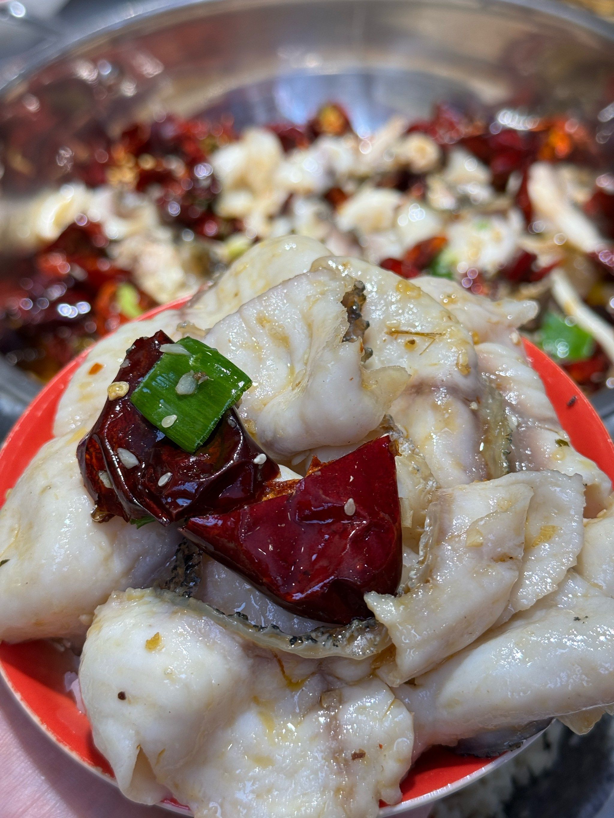 炝锅鱼的家常做法视频(炝锅鱼的做法最正宗的做法窍门)