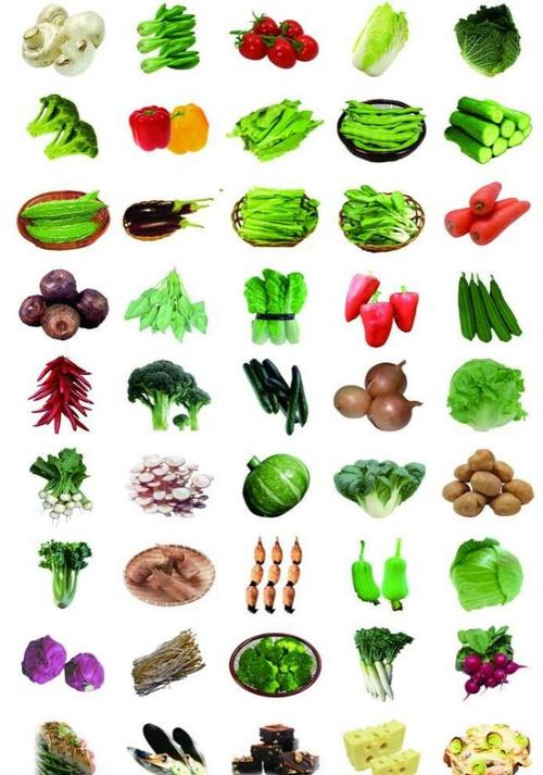 素菜有哪些品种图片(素菜有哪几种品种)