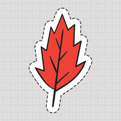 叶子带红色的素菜(红色叶子的蔬菜有哪些)