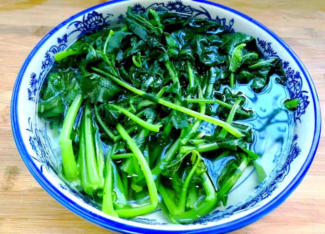 厚叶子凉菜(饭店凉菜叶子厚的叫什么)