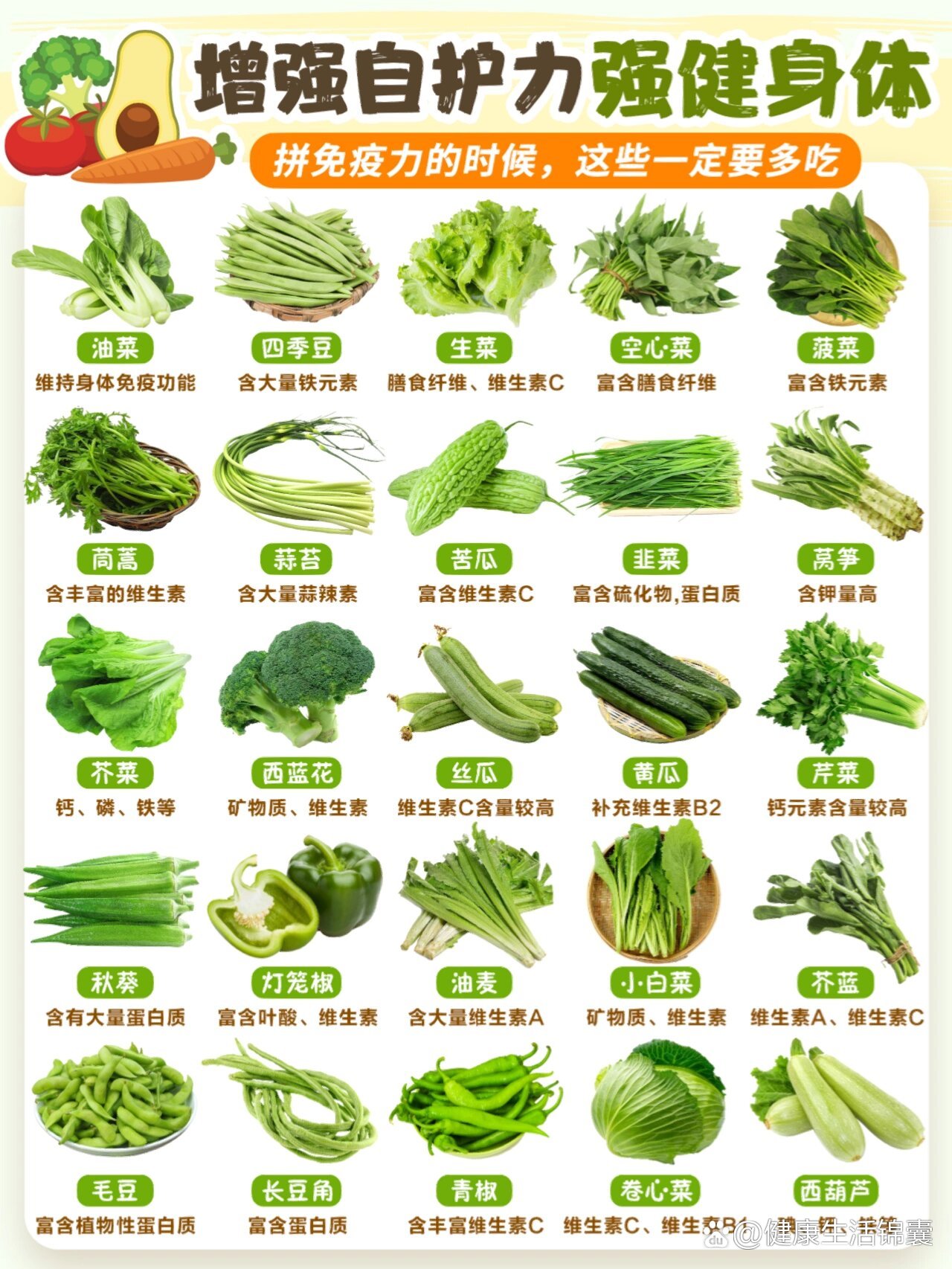 多吃素菜的好处(吃素菜好吗)