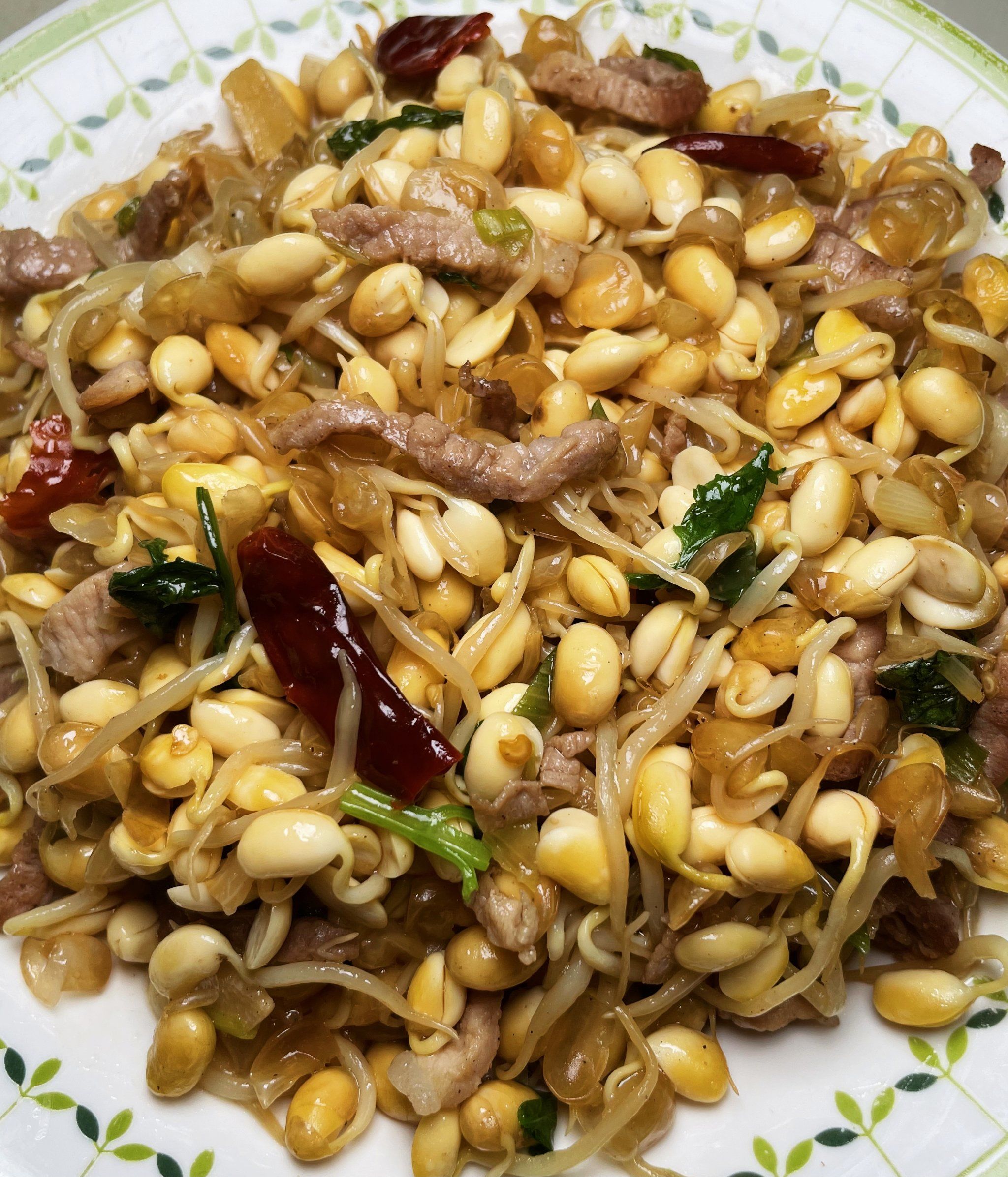 黄豆芽炒肉家常做法(黄豆芽炒肉怎样做好吃)