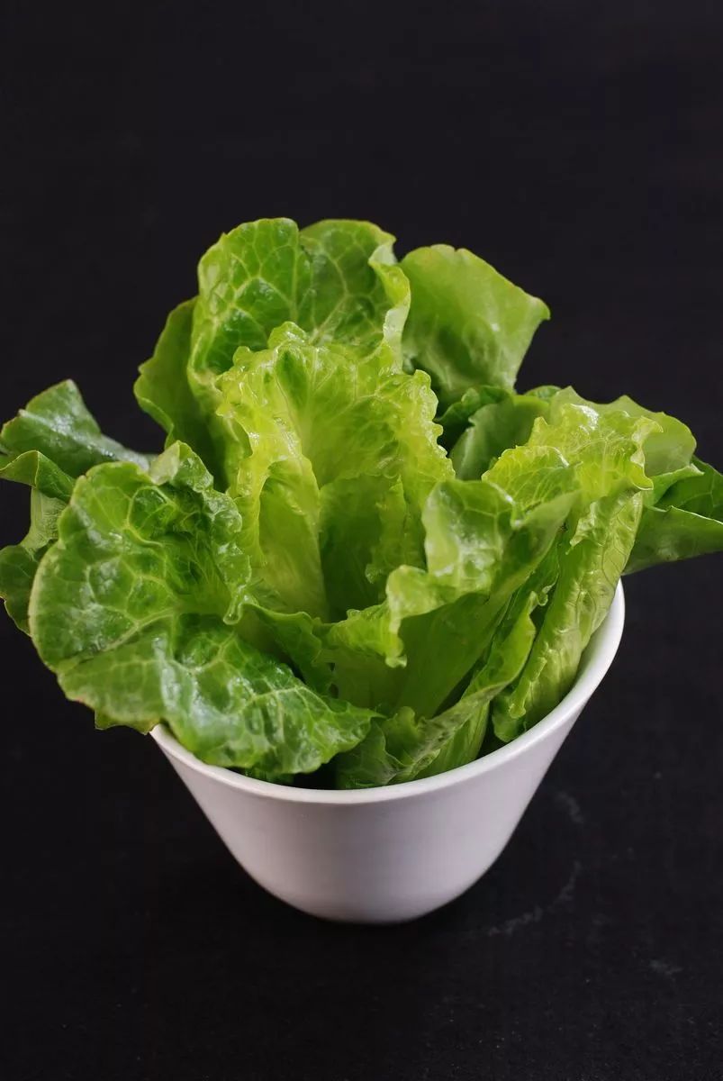 火锅里什么素菜最好吃(火锅里面什么素菜好吃)