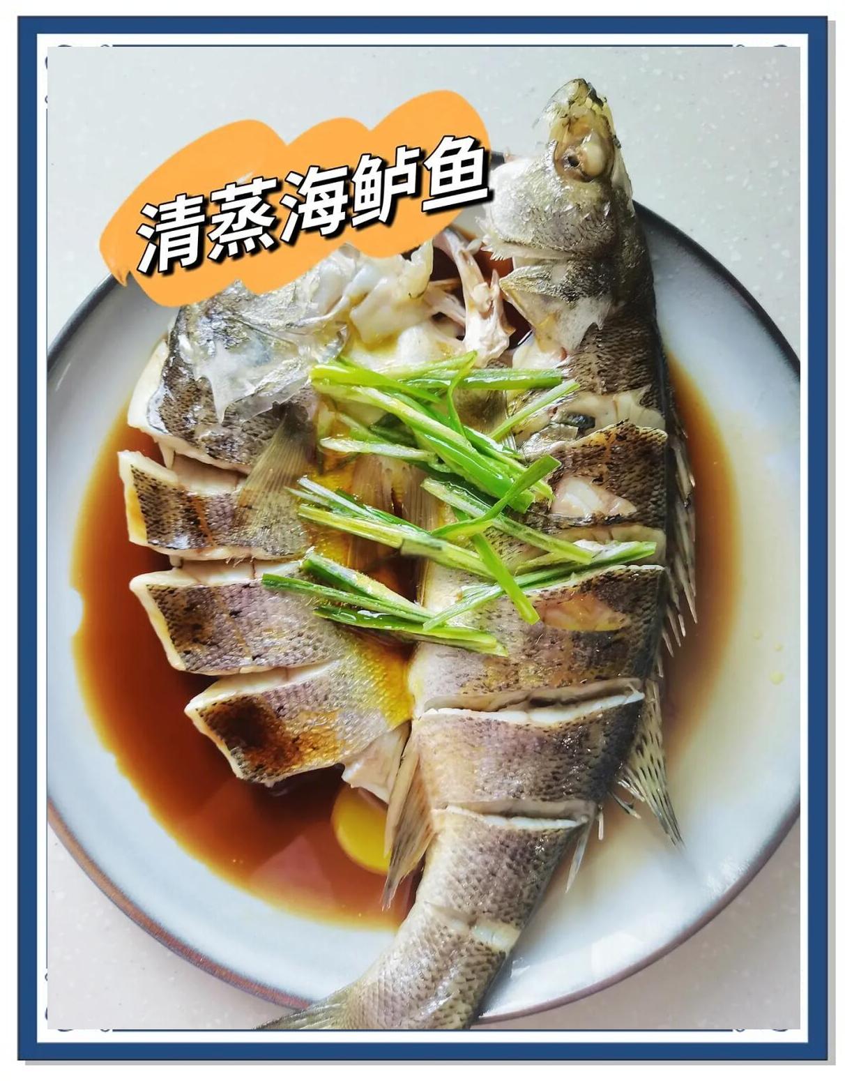 兴城特色炖海鲈鱼(兴城有名的海鱼)