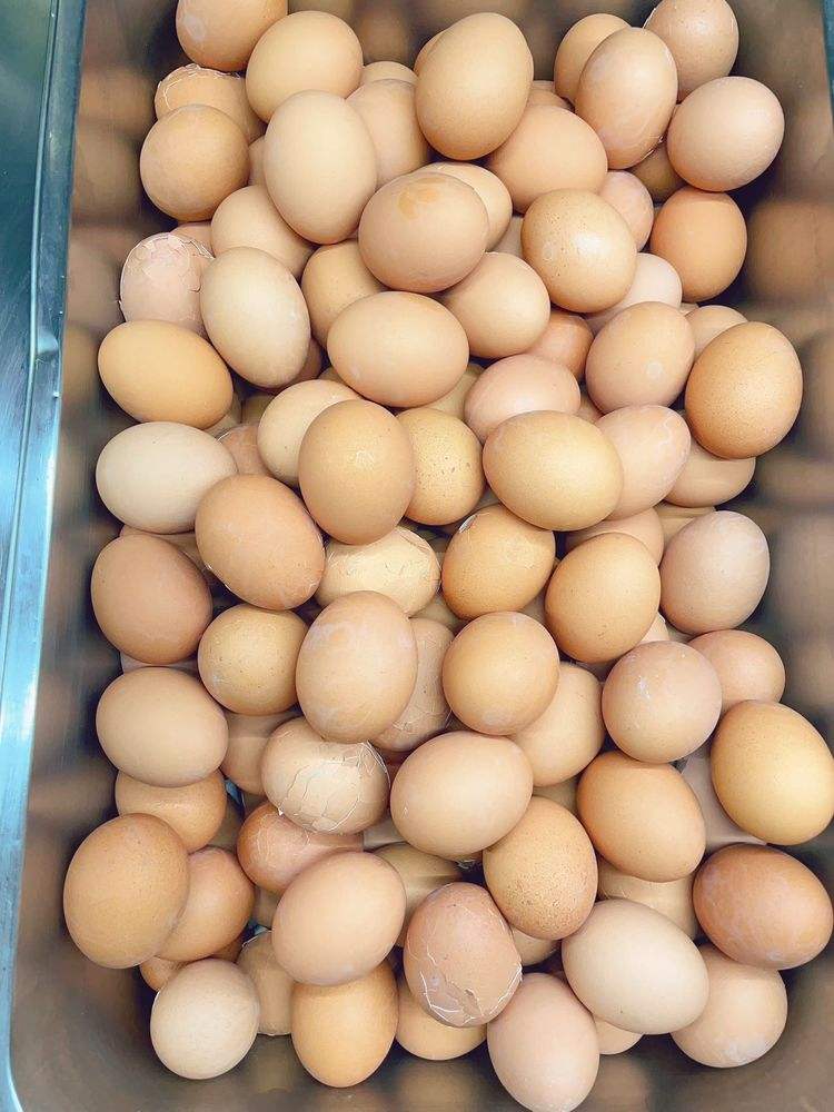 饭堂早餐图(饭堂早餐食谱大全)