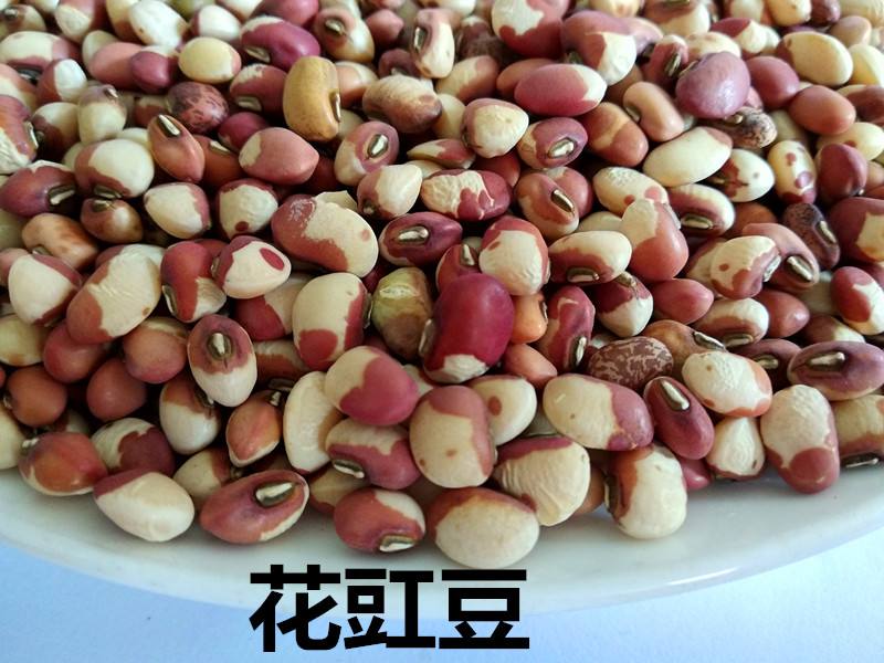 花豇豆的做法大全家常(花豇豆的做法大全家常视频)