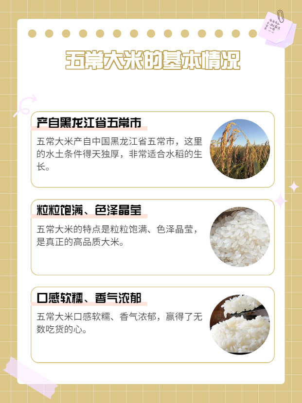 大米特色介绍(大米的特点简介)