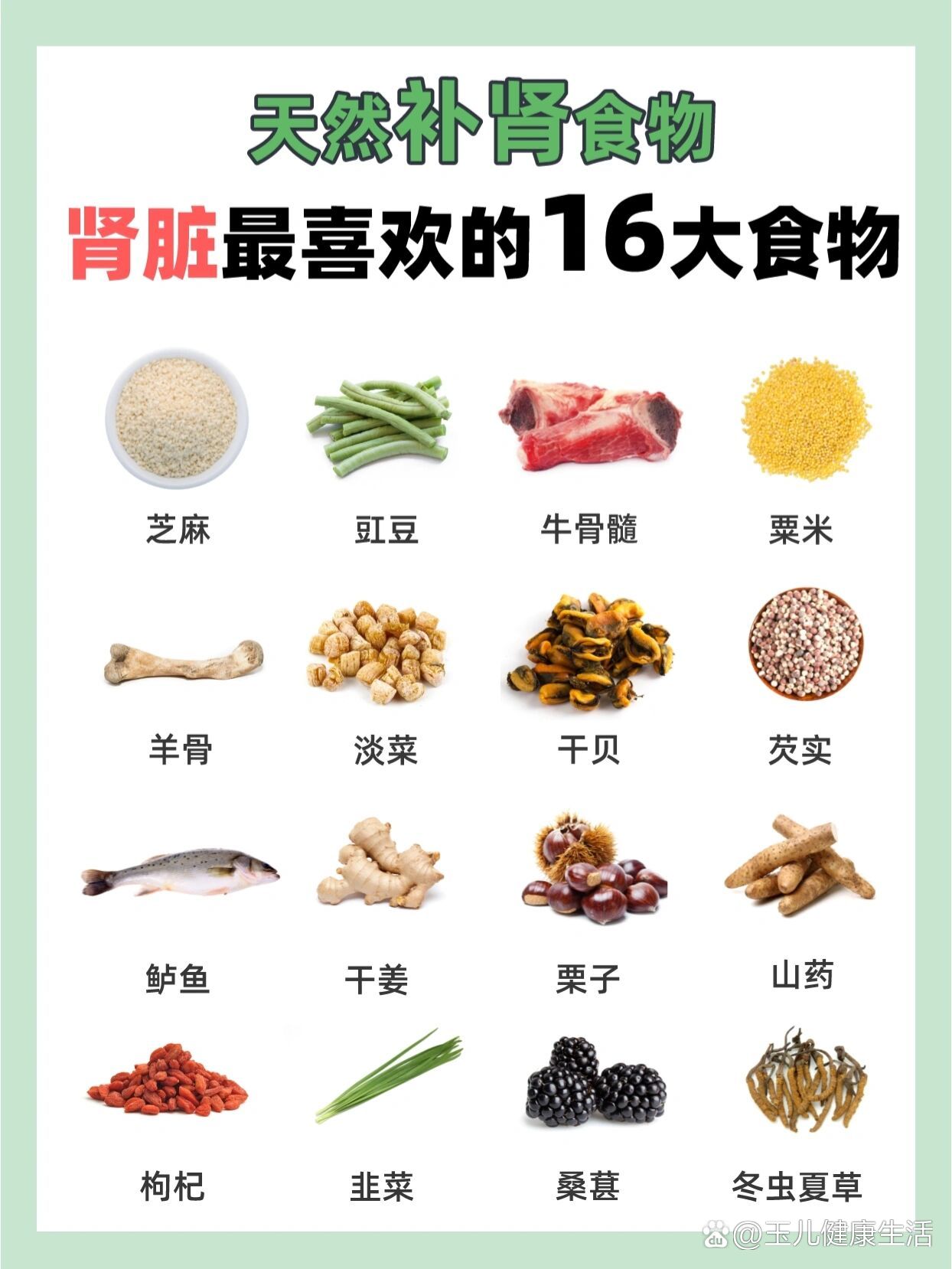 脾肾阳虚能吃什么素菜(脾肾阳虚的人适合吃哪些蔬菜)