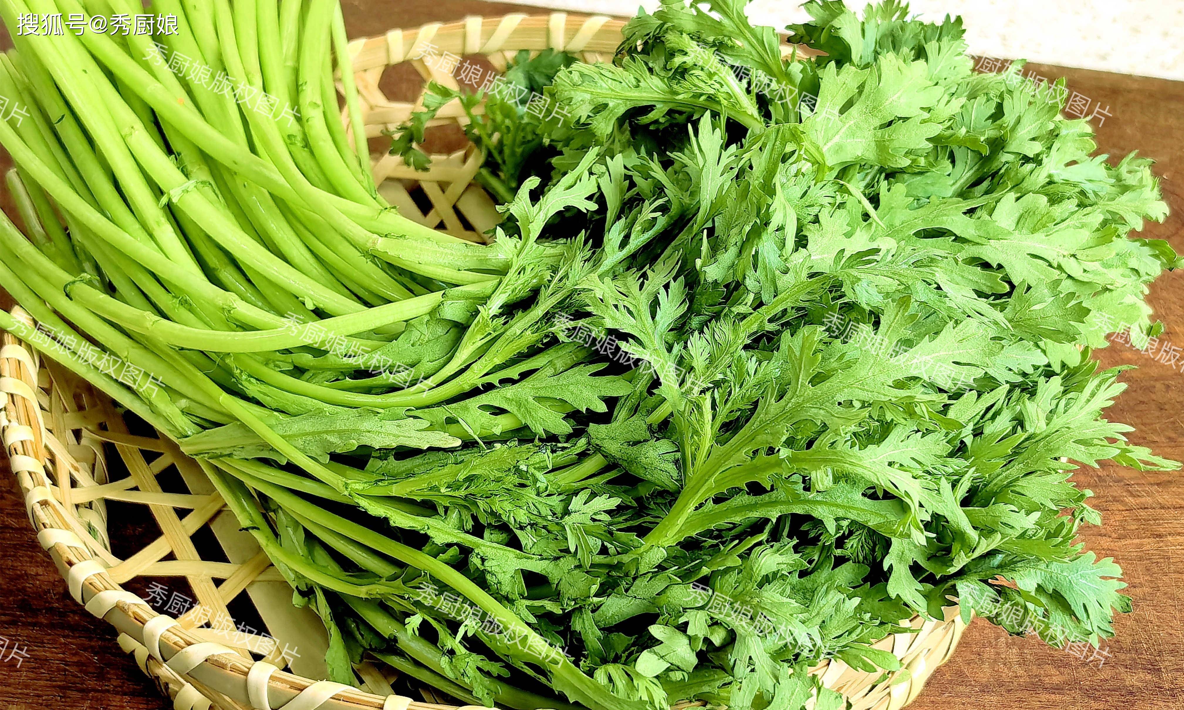 老人吃什么素菜(老人吃什么蔬菜)