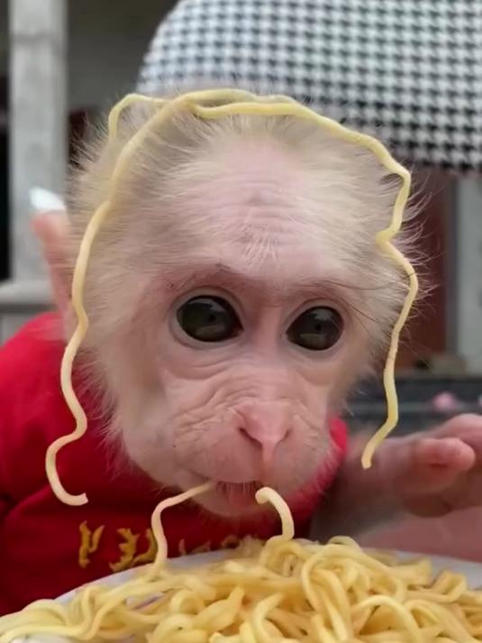 海丰小吃面猴(海丰面猴图片)