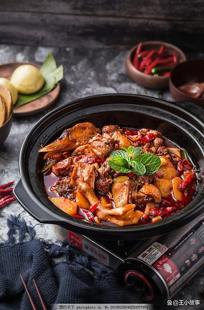 家常红烧鸭子(家常红烧鸭子的做法不放盐吗)