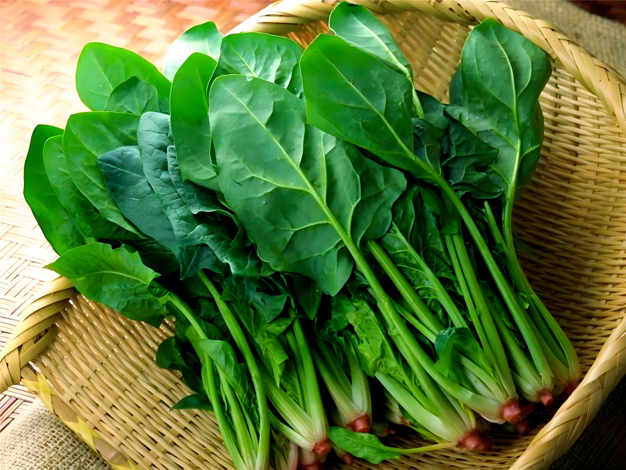 什么素菜补铁(吃什么素菜可以补铁)