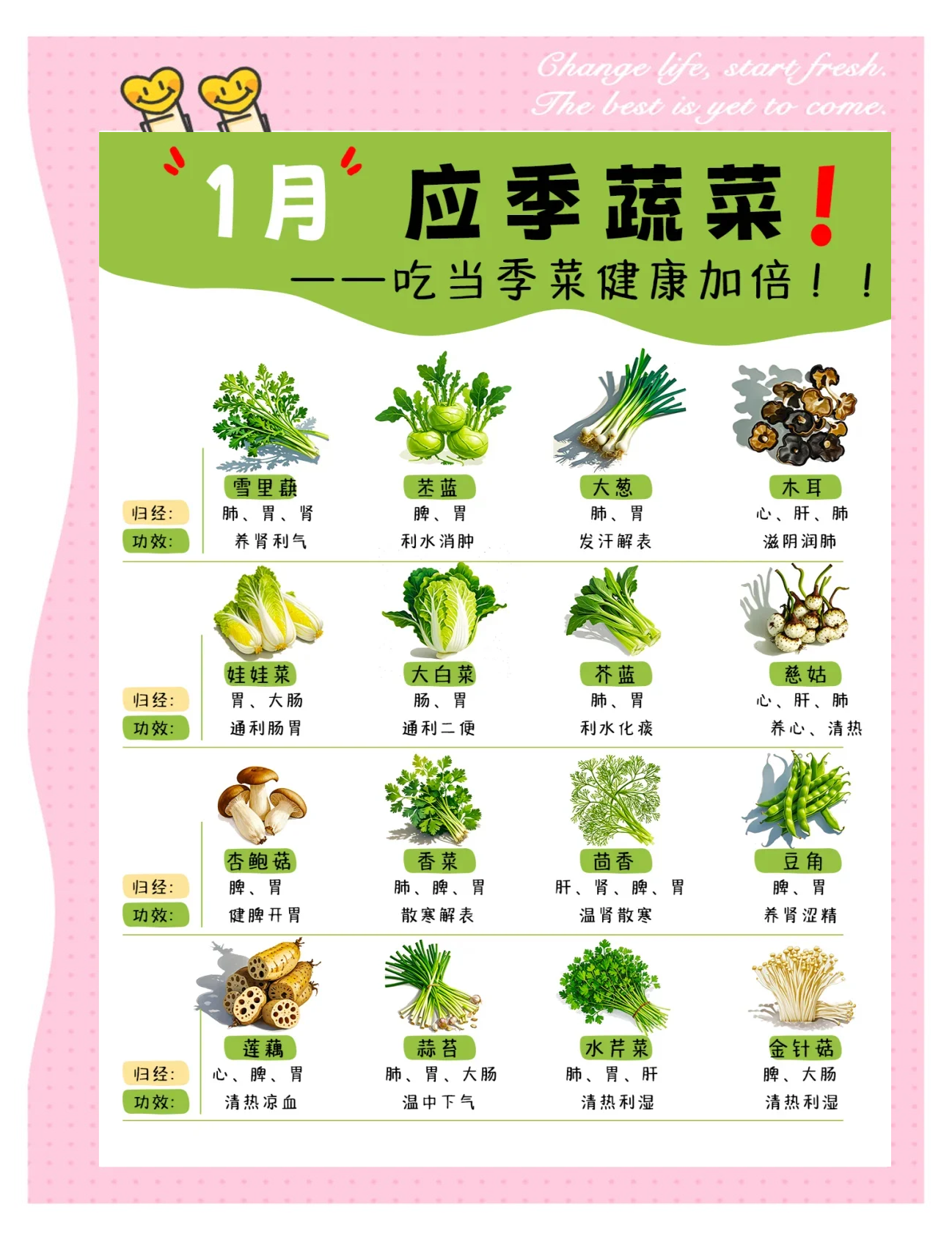 四月份现在有什么素菜(4月份的素菜)