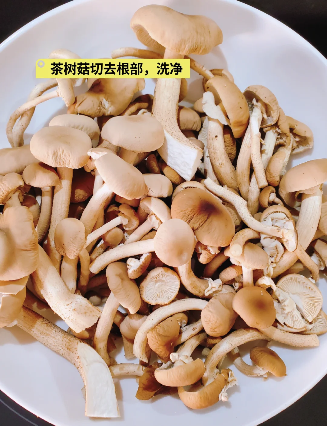 干茶树菇的素菜做法(干茶树菇的吃法)