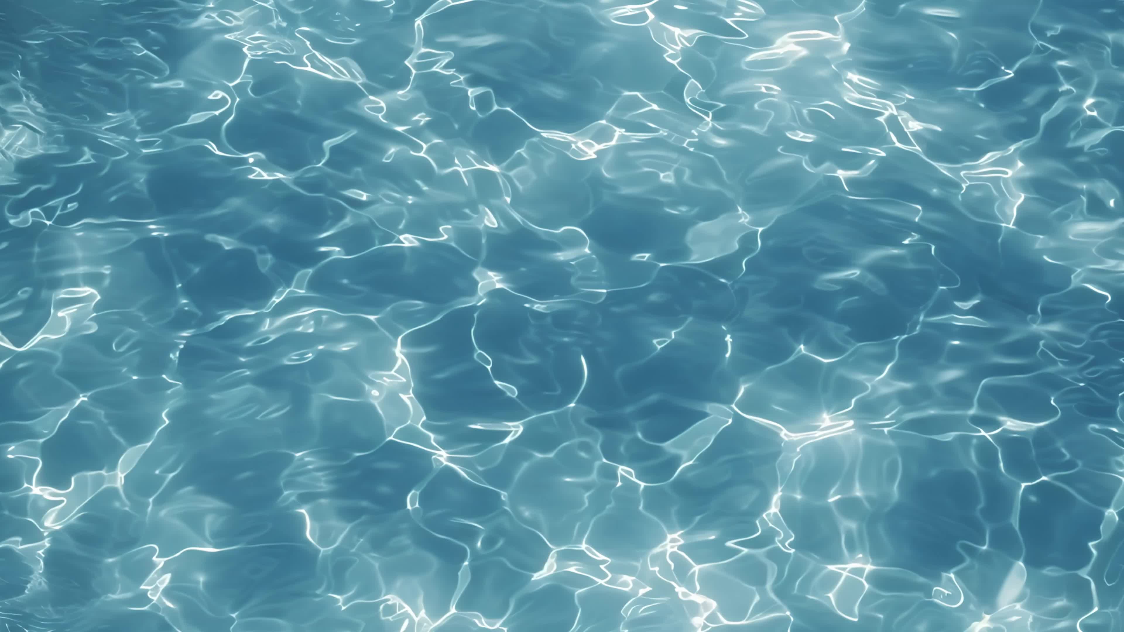 过水面素菜(过水面条的配菜)