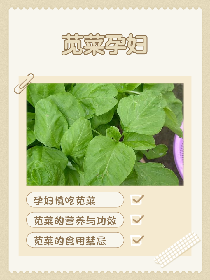 怀孕吃凉菜好吗(怀孕吃凉菜好吗没事吧) 怀孕吃凉菜好吗(怀孕吃凉菜好吗没事吧)